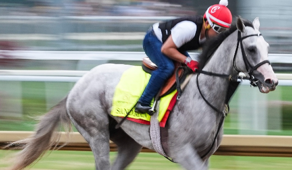 Sign up with the TwinSpires promo code LABSRACING today and bet on Sandman in the Kentucky Derby.